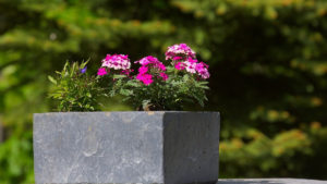 Comment bien choisir sa jardinière ?